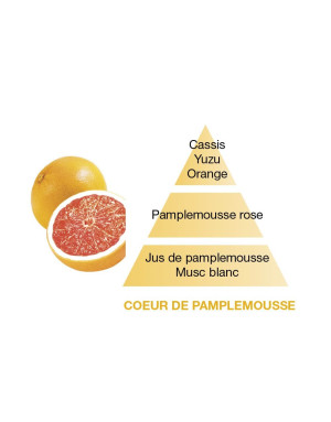  Maison Berger :  Coeur de pamplemousse, Recharge 500 ml
