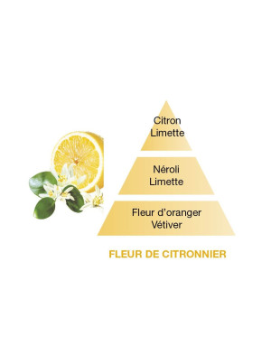  Maison Berger :  Fleur de Citronnier, Recharge 500 ml