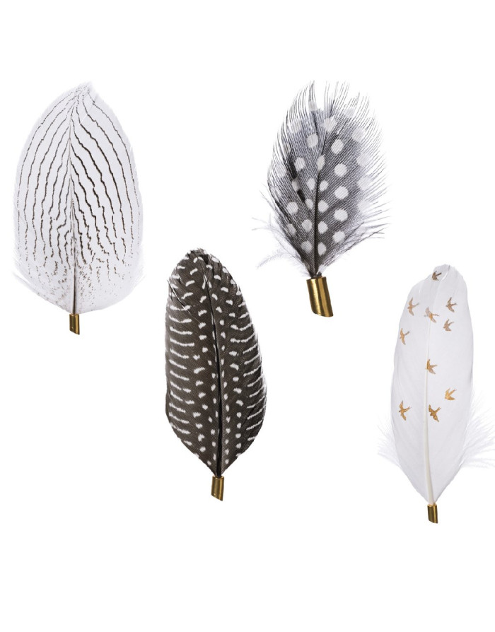 Feathers, Set de 4 magnets en plumes véritables naturelles