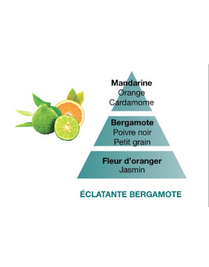  Maison Berger :  Recharge Lampe Berger - Éclatante bergamote
