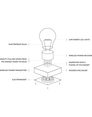 Flyte Buckminster Lampe magnétique Noyer & Cuivre