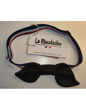 Le Moustachu : L'Original noeud papillon
