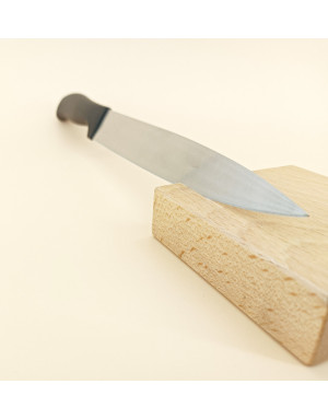 Wüsthof : Silverpoint Couteau à viande 20 cm ou tranchelard